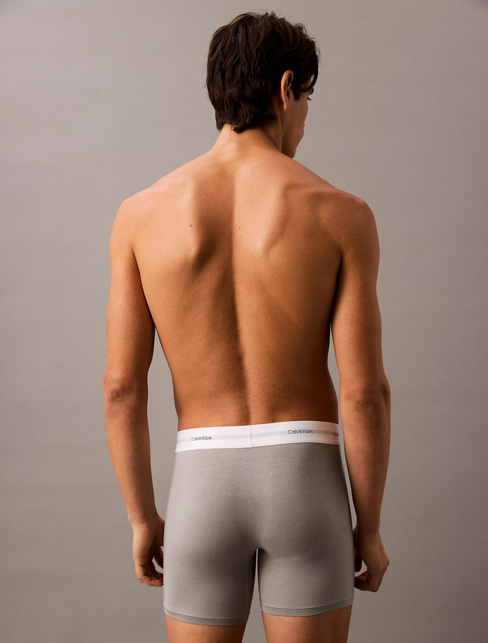 3 Pack Boxer Briefs in Ash