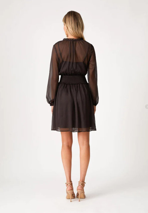 Kira Sheer Mini Dress