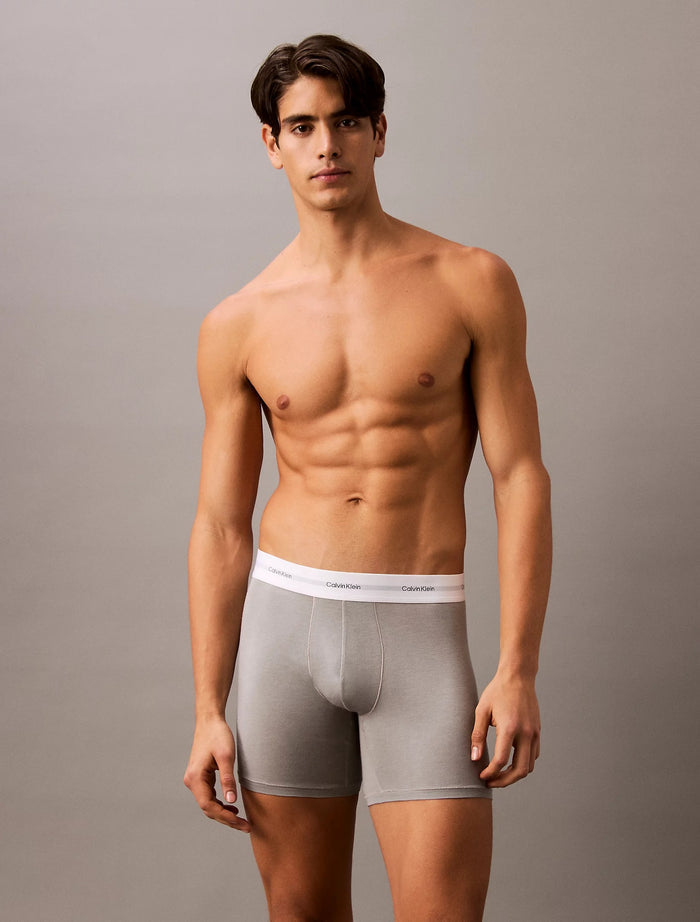 3 Pack Boxer Briefs in Ash
