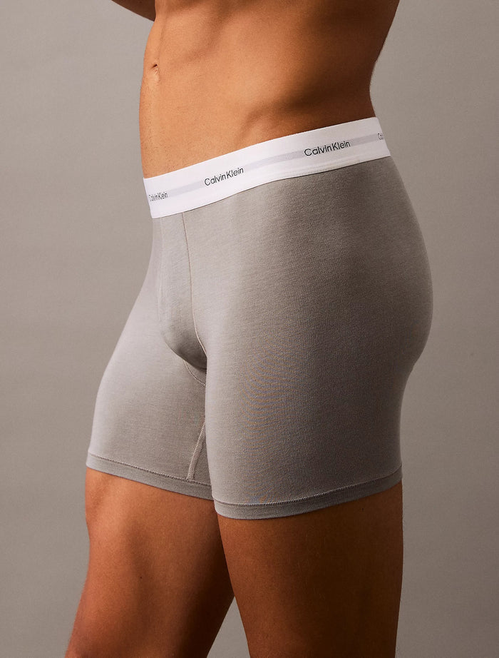 3 Pack Boxer Briefs in Ash