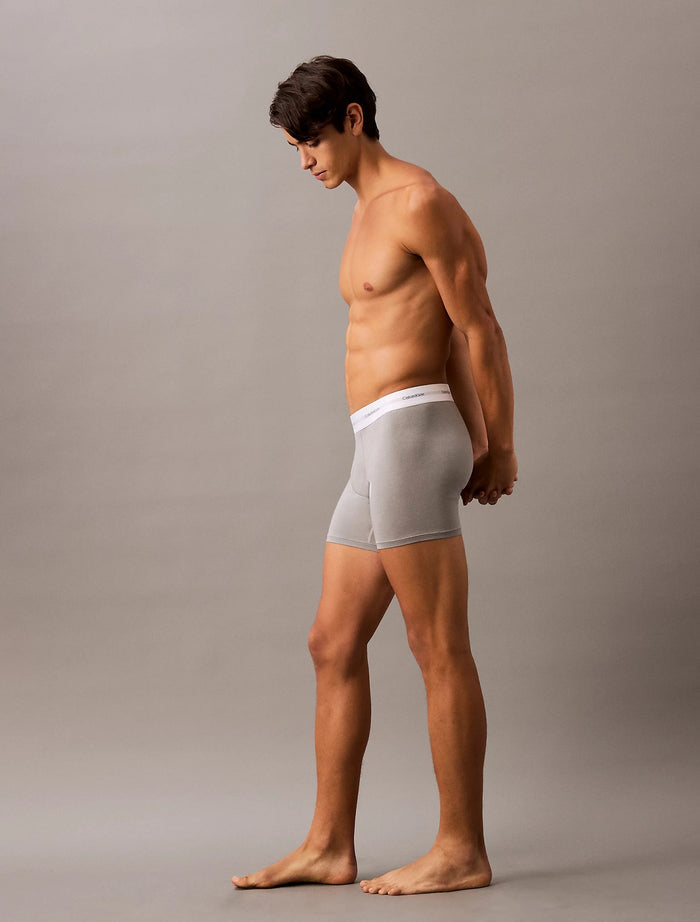 3 Pack Boxer Briefs in Ash