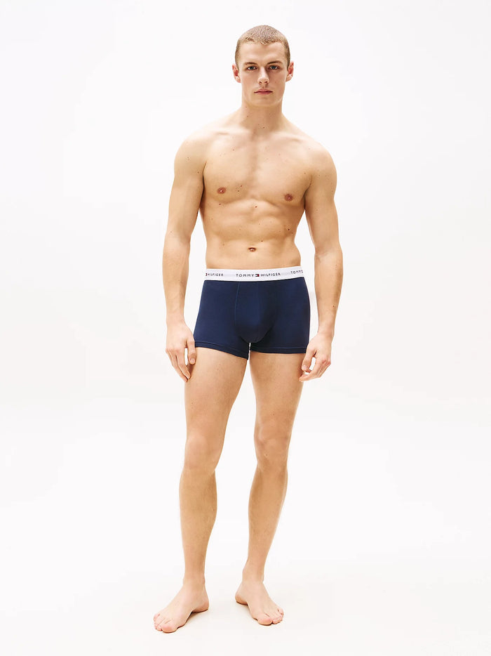 3-Pack Print Trunks in Flag Deo