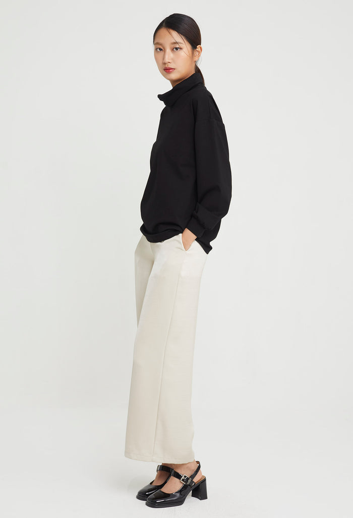 Casual Long Sleeves Turtle-Neck Top