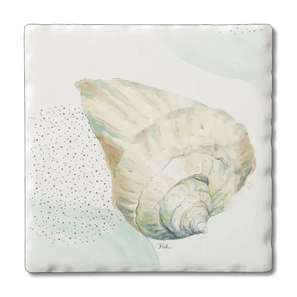 Conch Square Coaster