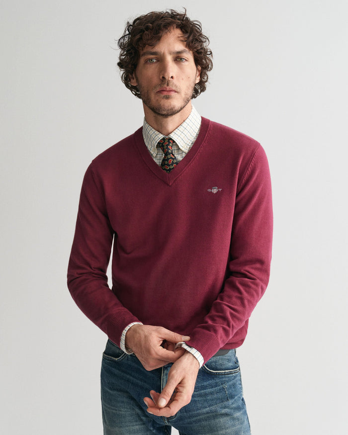 Cotton V-Neck Sweater in Wine