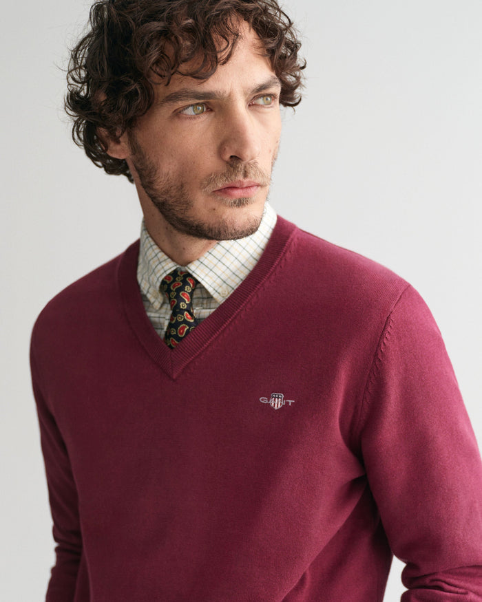 Cotton V-Neck Sweater in Wine