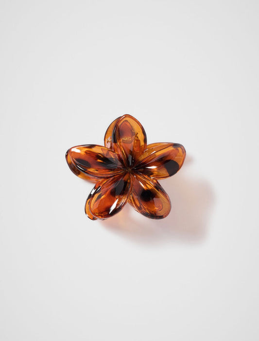 Fifi Flower Claw Clip 0 Brown Forever New