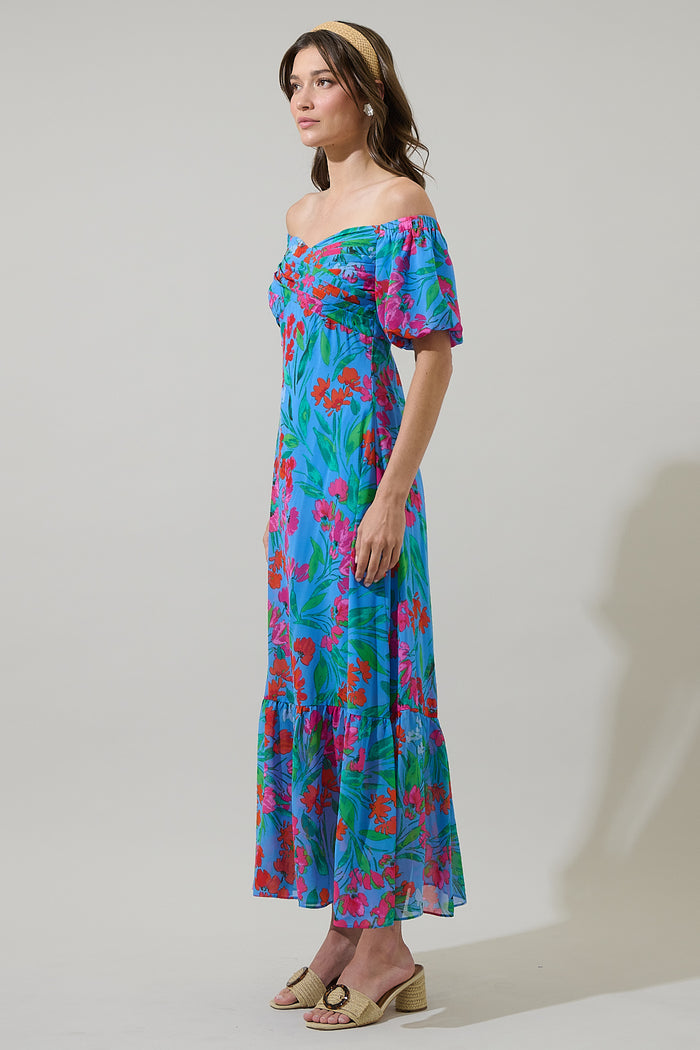 Finy Floral Dariana Pleated Maxi Dress