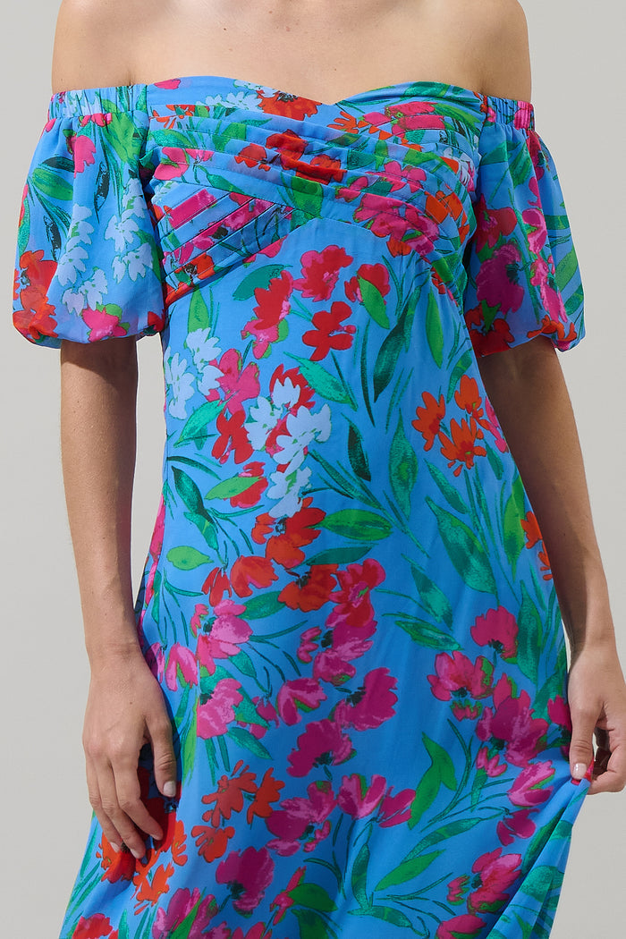 Finy Floral Dariana Pleated Maxi Dress