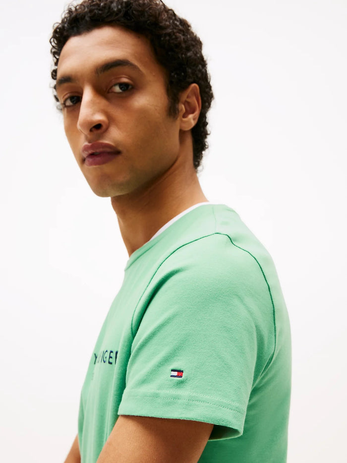 Flag Embroidery Tee in Green