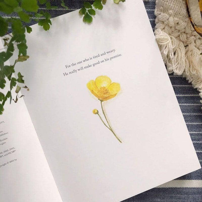 Freely & lightly book