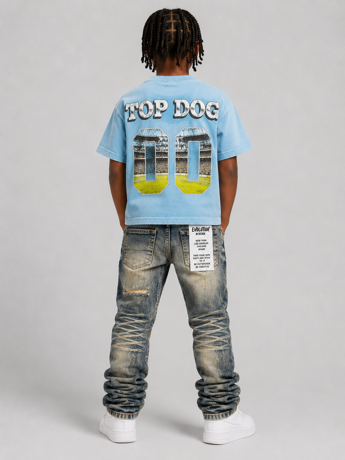 FWRD Kids 'Top Dog' T-Shirt in Carolina Blue, casual kids' tee with a playful graphic, soft cotton fabric for everyday wear.