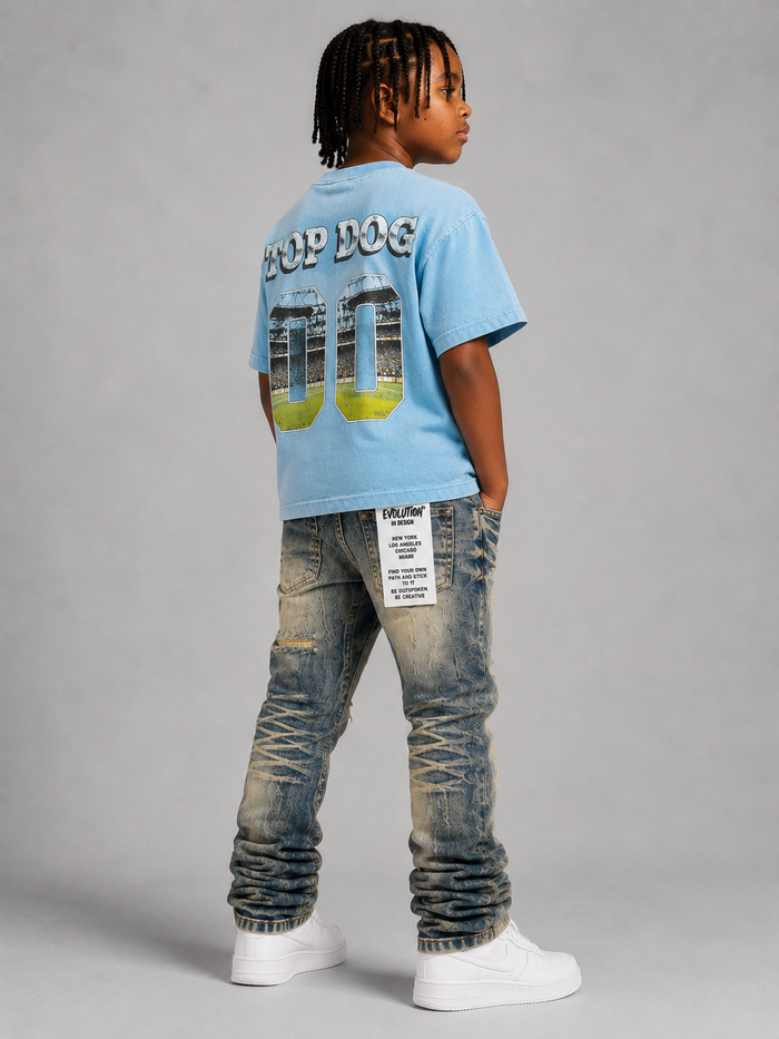 FWRD Kids Top Dog T-Shirt in Carolina Blue, a comfortable kids' T-shirt with playful dog graphic on the front.