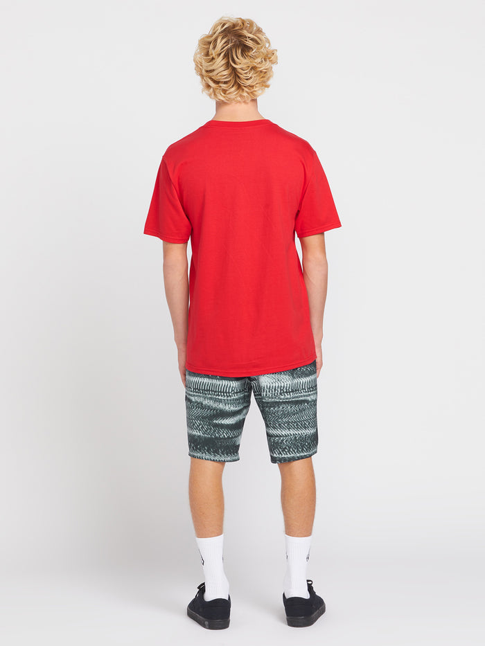 Glitch Stone Mod 20" Boardshorts