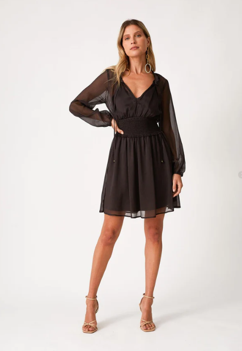 Kira Sheer Mini Dress