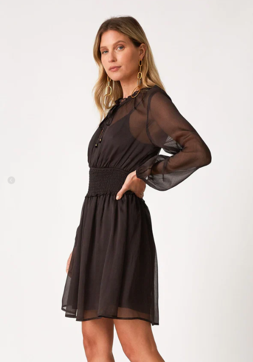 Kira Sheer Mini Dress