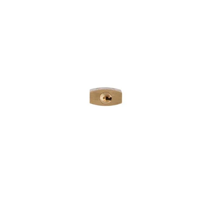 Close-up of the key entry for a brass Lifeventure mini padlock on a white background