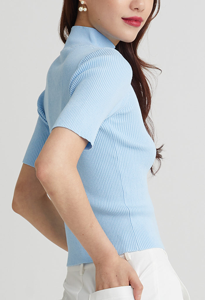 Modern Ribbed High Neck Top