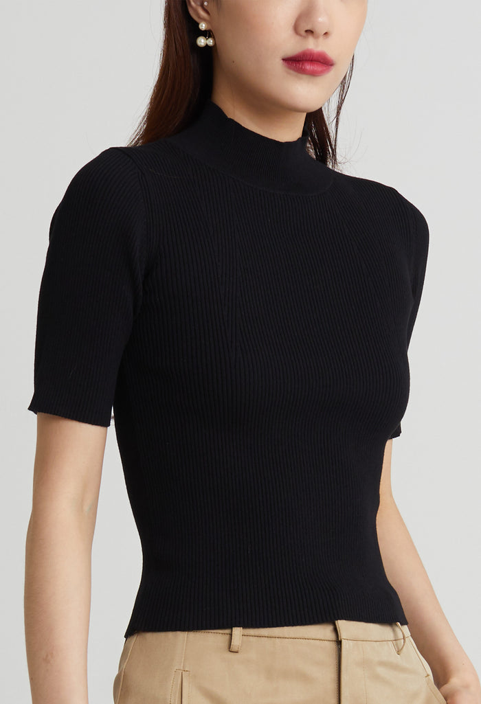 Modern Ribbed High Neck Top