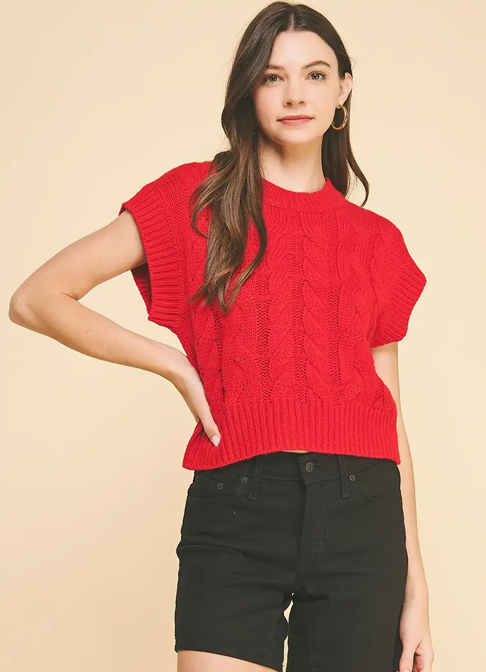 Pinch SS Cable Knit Sweater Top