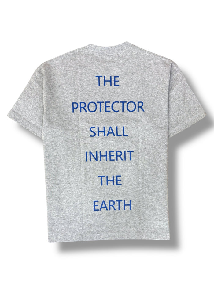 Grey and blue Protector and Maintainer "Not Perfect" T-shirt, casual tee with printed slogan, showcasing a comfortable fit and stylish design.