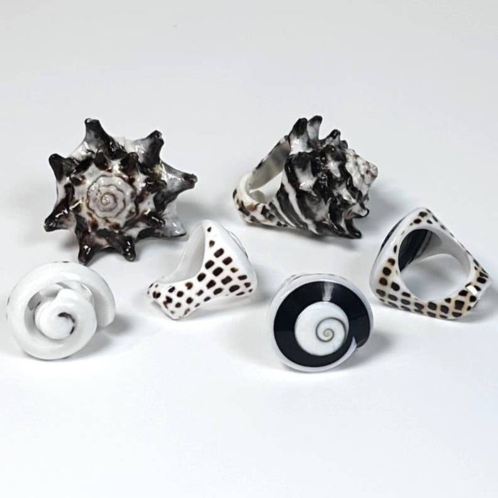 Seashell Rings