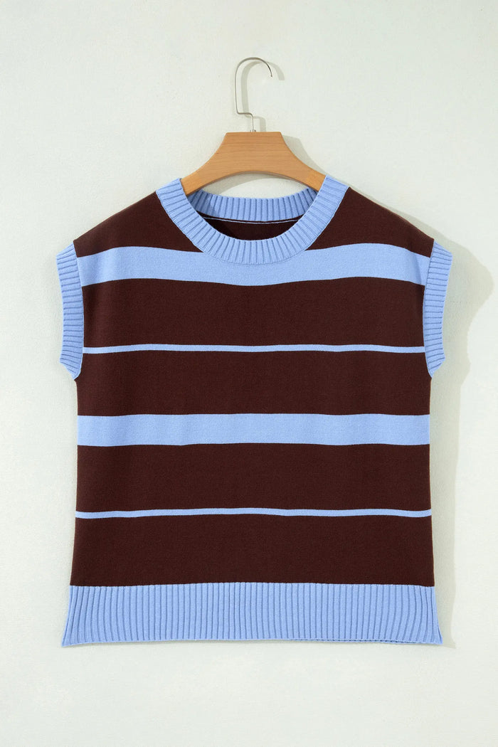 Striped Short Sleeve Round Neck Casual Knit Top – Sky Blue Stripe