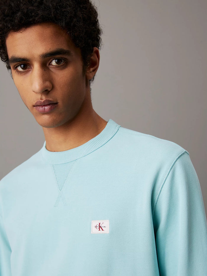 Terry Badge Sweatshirt in Mint