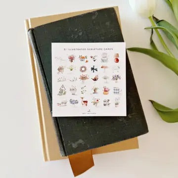 Back of the Truth for Today: Psalms scripture card set showing 31 illustrated scripture cards with seasonal watercolor artwork.