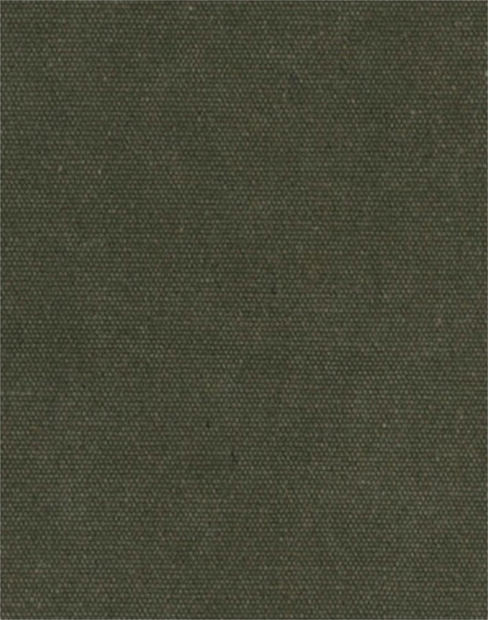 Urban Olive Heavy Canvas Fabric, Light & Lush