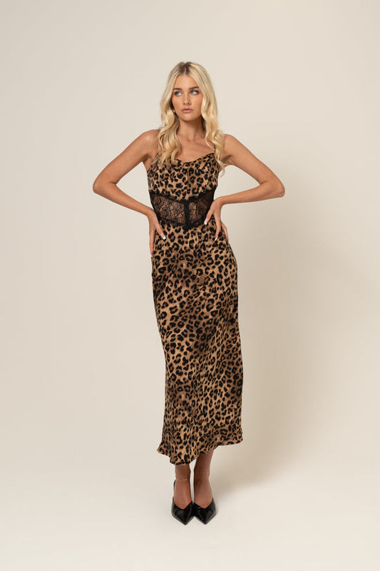leopard-1