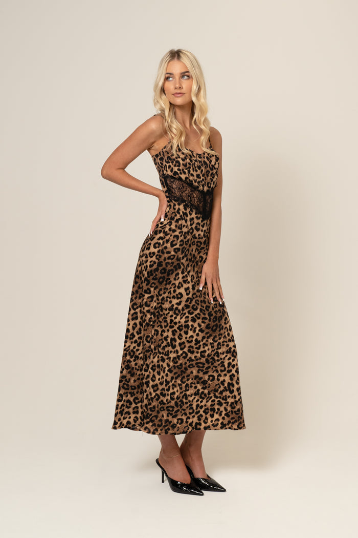 leopard-1